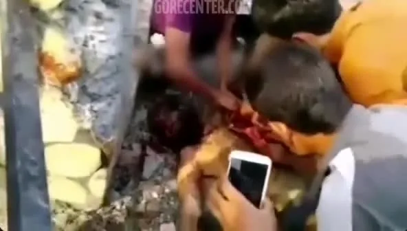 Preview for Video 1250056