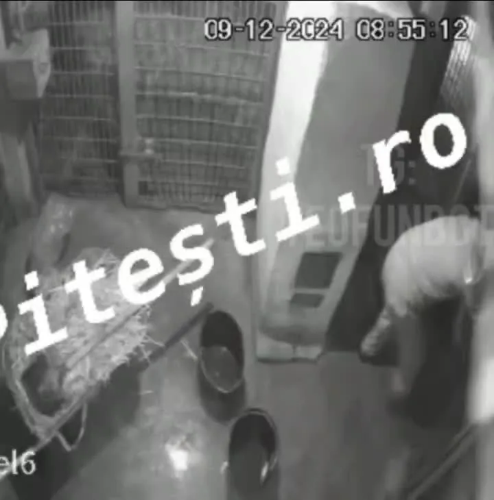 Preview for 1000007916