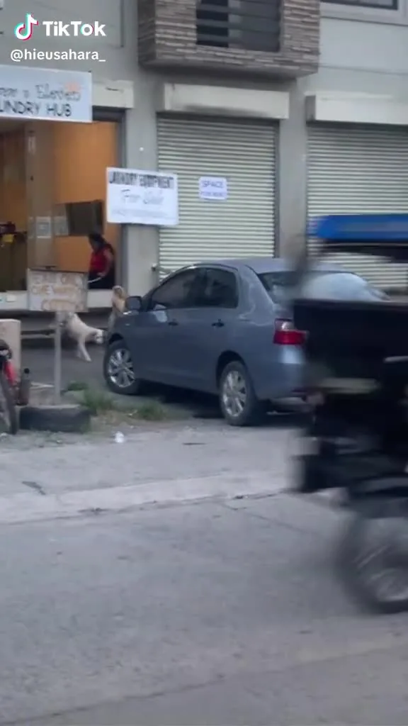 Preview for 71799303