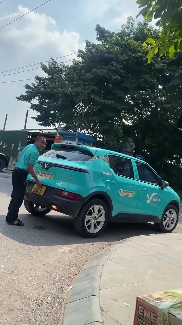 Preview for Video 1100596