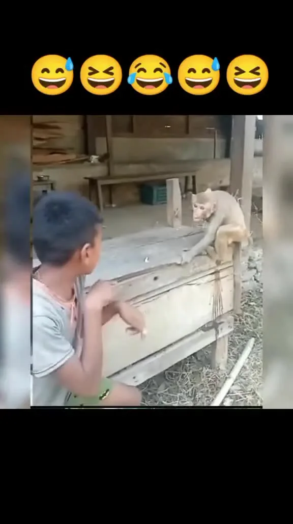 Preview for 1000011888