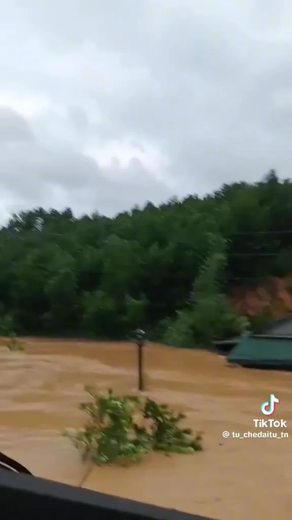 Preview for IMG 8150