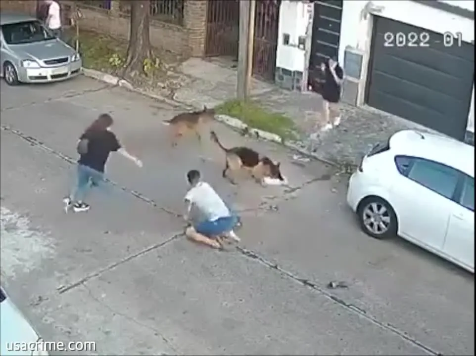 Preview for 2146495440