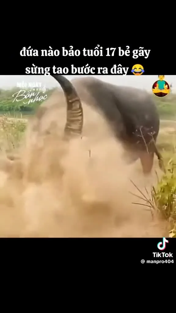 Preview for 61555596