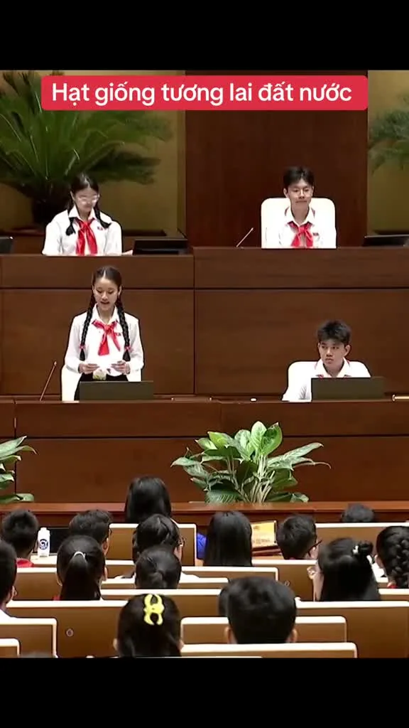 Preview for 311919977