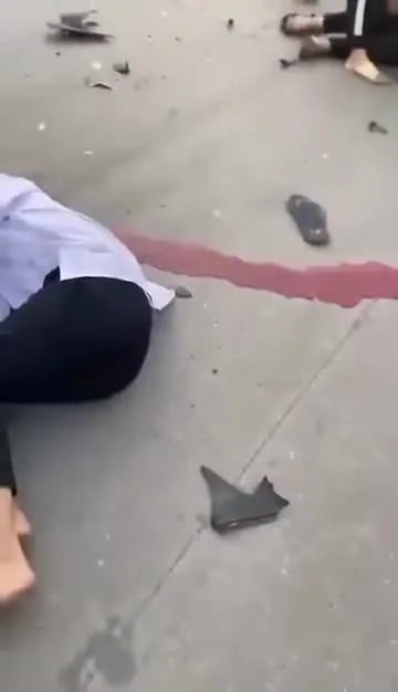 Preview for video 2024 12 01 17 09 55