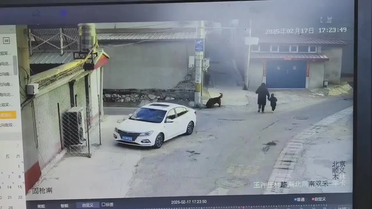 Preview for video 2025 02 19 18 20 46