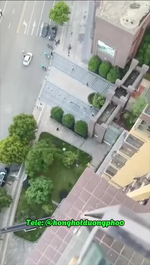 Preview for VID 20241106 180545 306