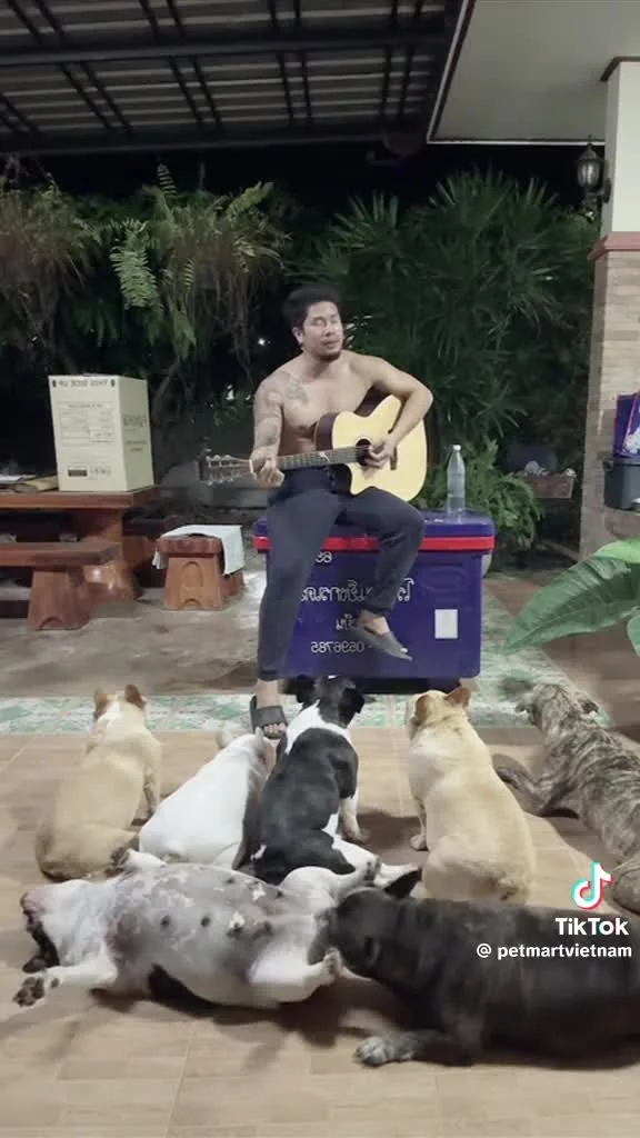 Preview for Video 1153422