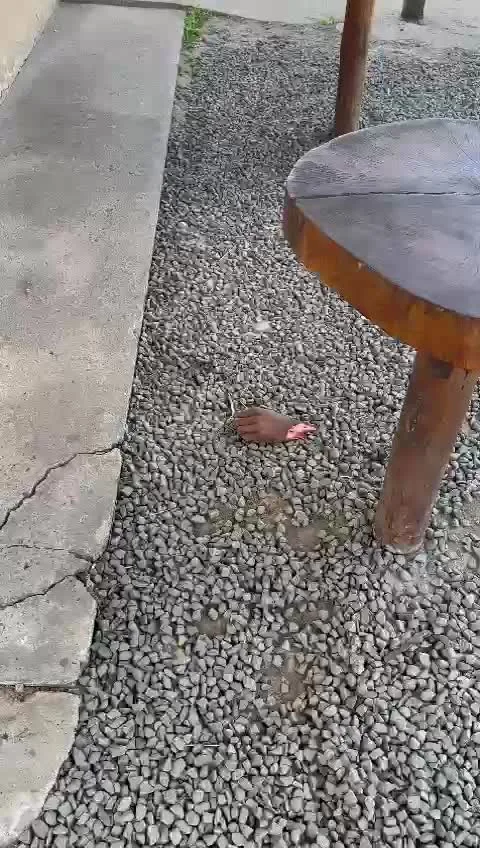 Preview for video 2024 12 05 08 47 03