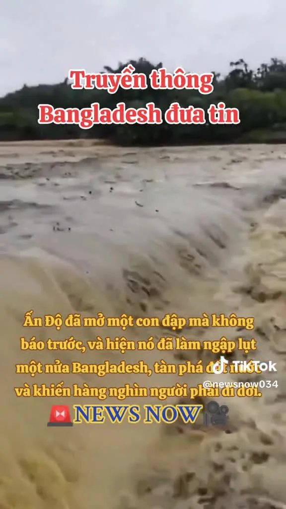 Preview for 42061051