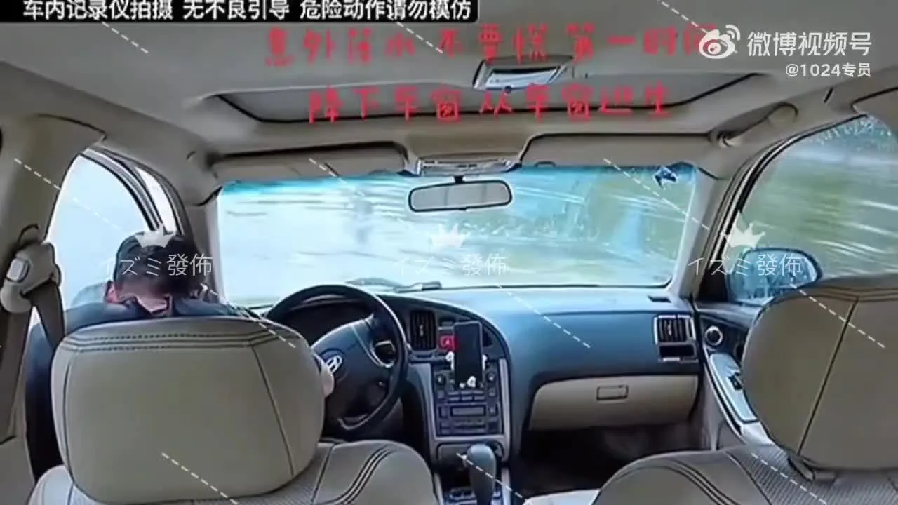 Preview for 1000007542