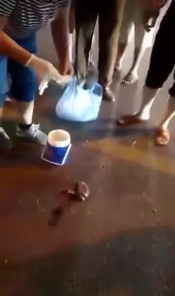 Preview for 555083793