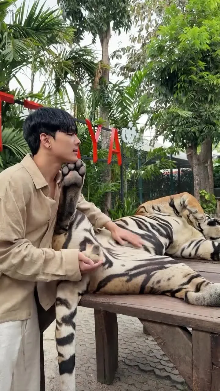 Preview for AQOqHSMkit2V7pBNKY5HUFo3XBg evkETucL0rlxZKirRSsRO EzJffD8ePqJDU3f1DjqVZeUReVSHmUw9OdPN6J4Q4HQ7dRCNnC