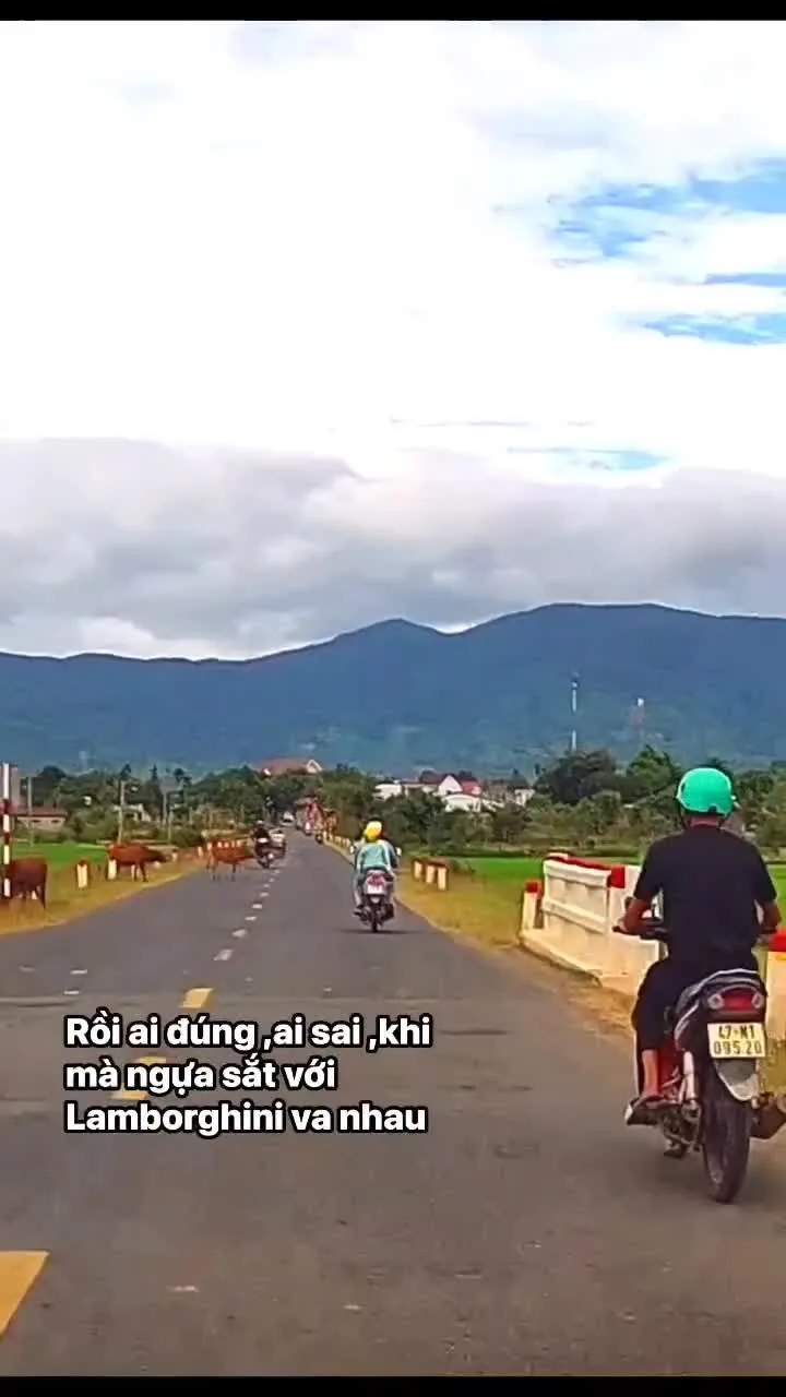 Preview for 81456803