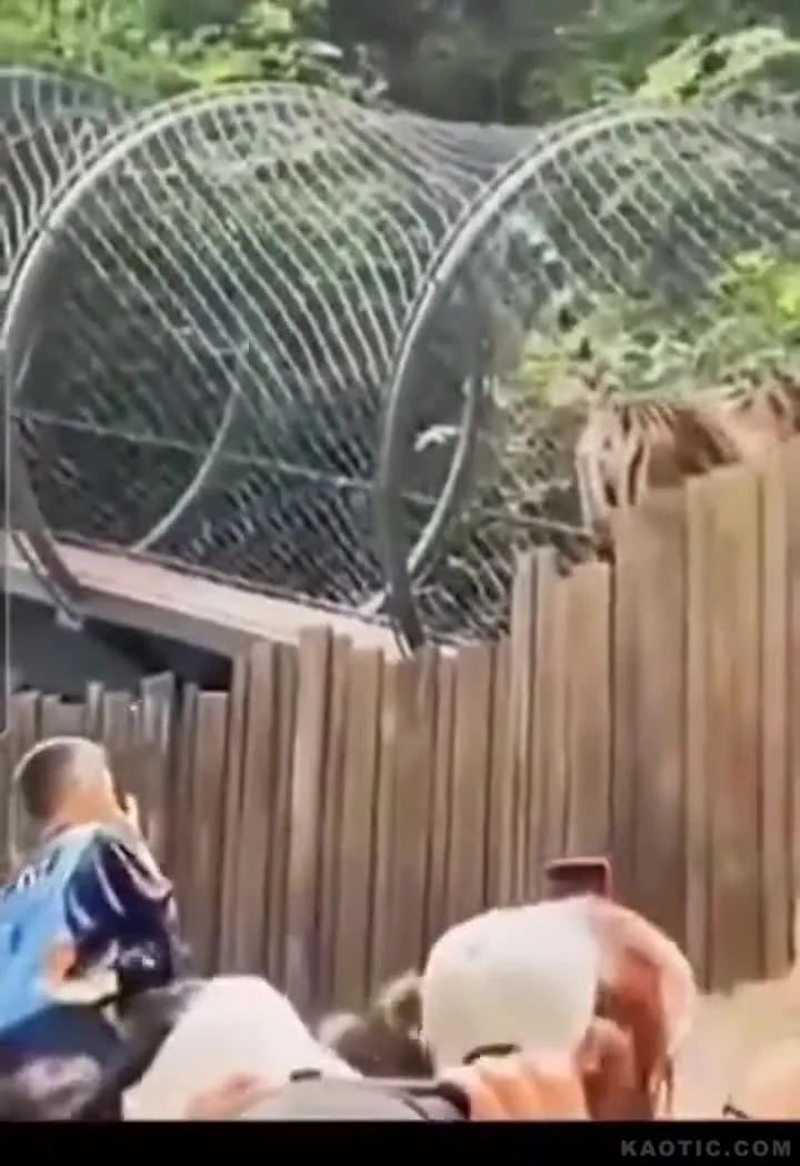 Preview for Video 1275126