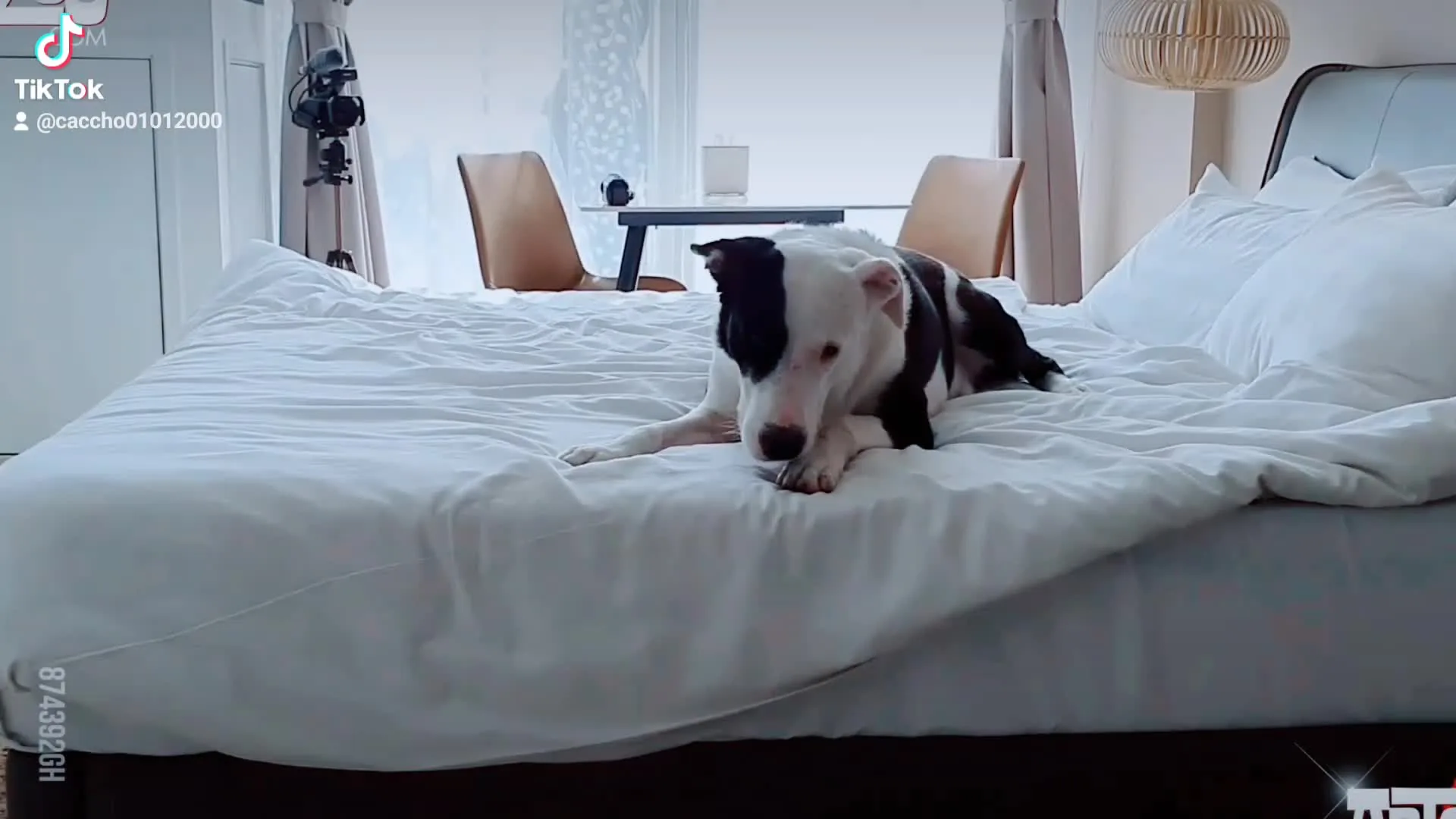 Preview for Video 1120283