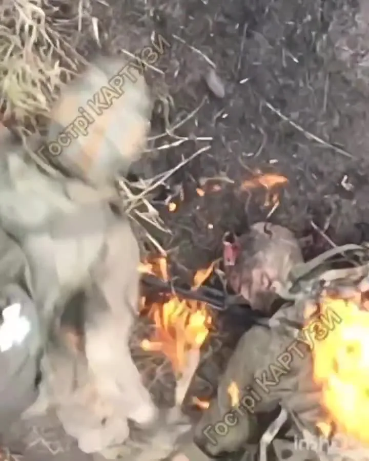 Preview for 🇺🇦 UkraineNewsLive🇺🇦 on X '⚡🇺🇦💪🔥🥓'See Vovchansk and burn'. A Russian occupant with the help of some 