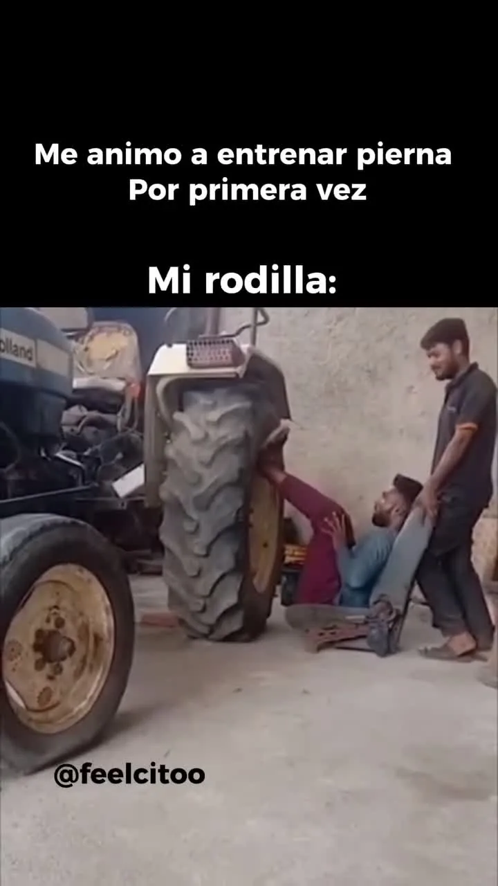 Preview for IMG 8503