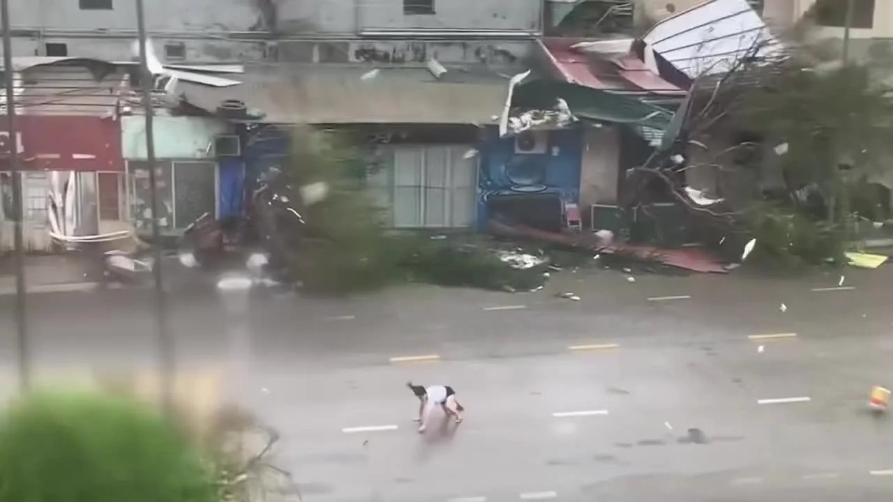 Preview for 43033942