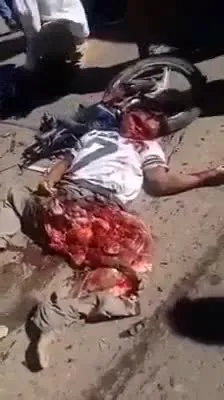 Preview for Video 1261268