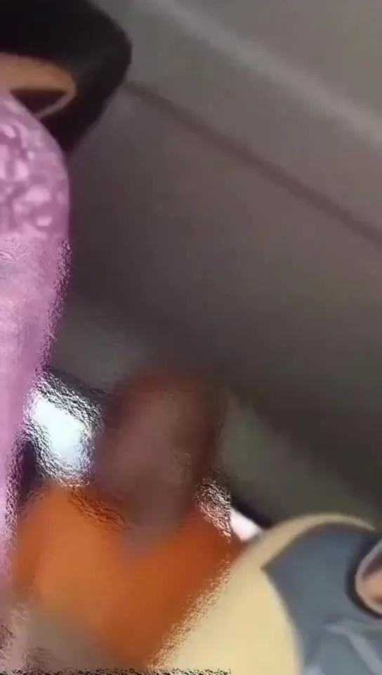 Preview for video 2025 02 19 12 49 08