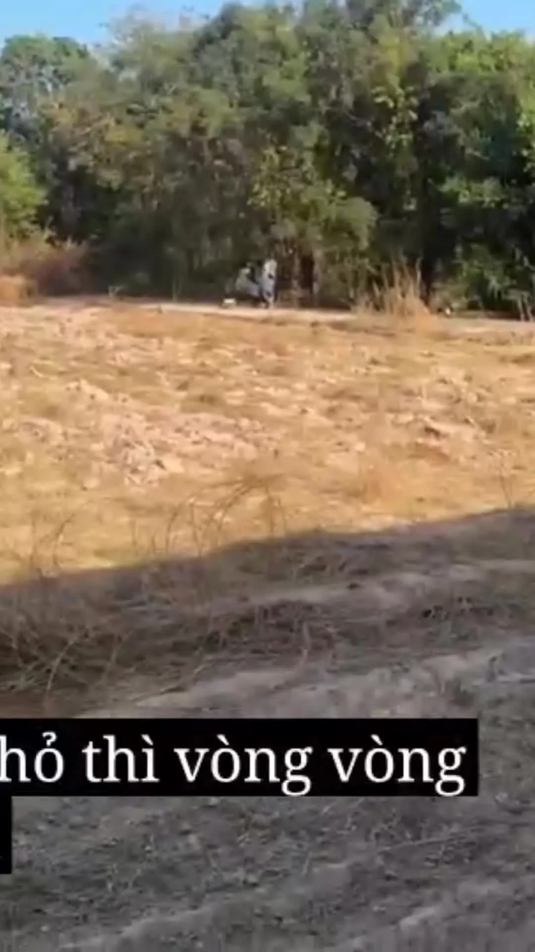 Preview for Video 1134019