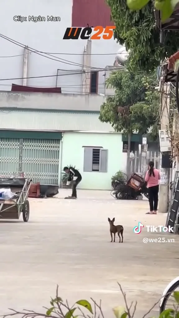 Preview for Video 1201494