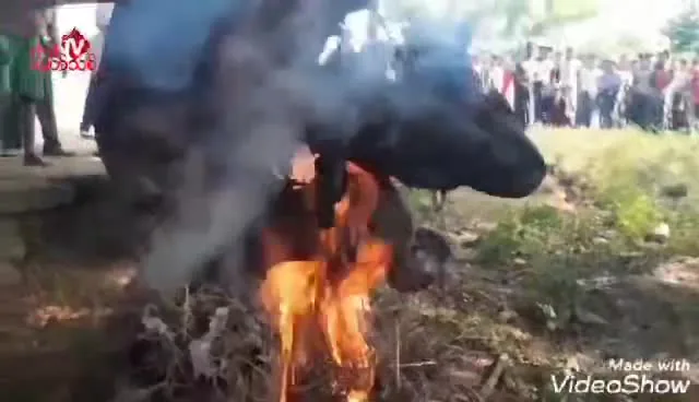 Preview for 166481290