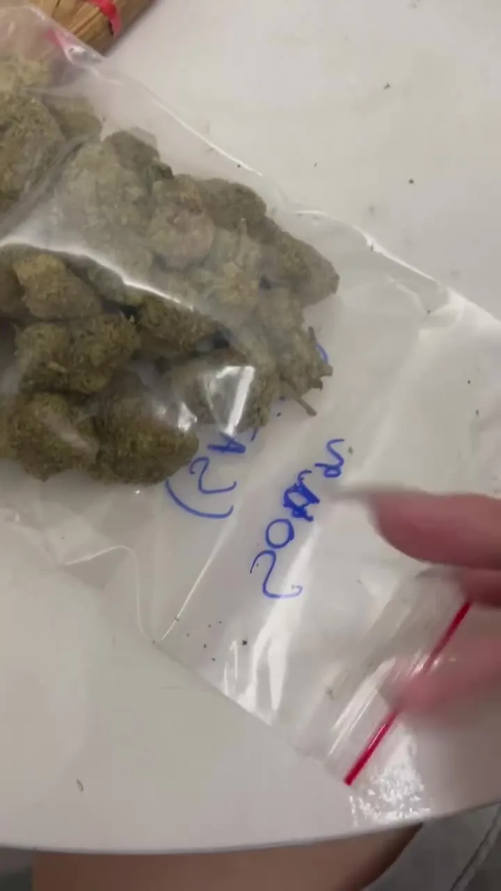 Preview for VID 20241104 190101 414