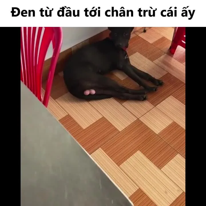 Preview for Video 1281415