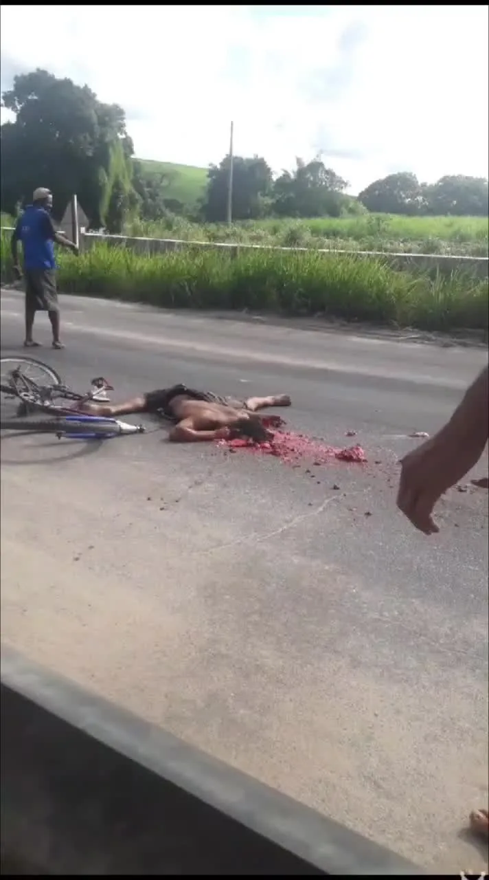 Preview for Video 1095054