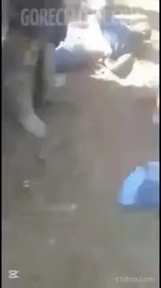 Preview for Video 1192336