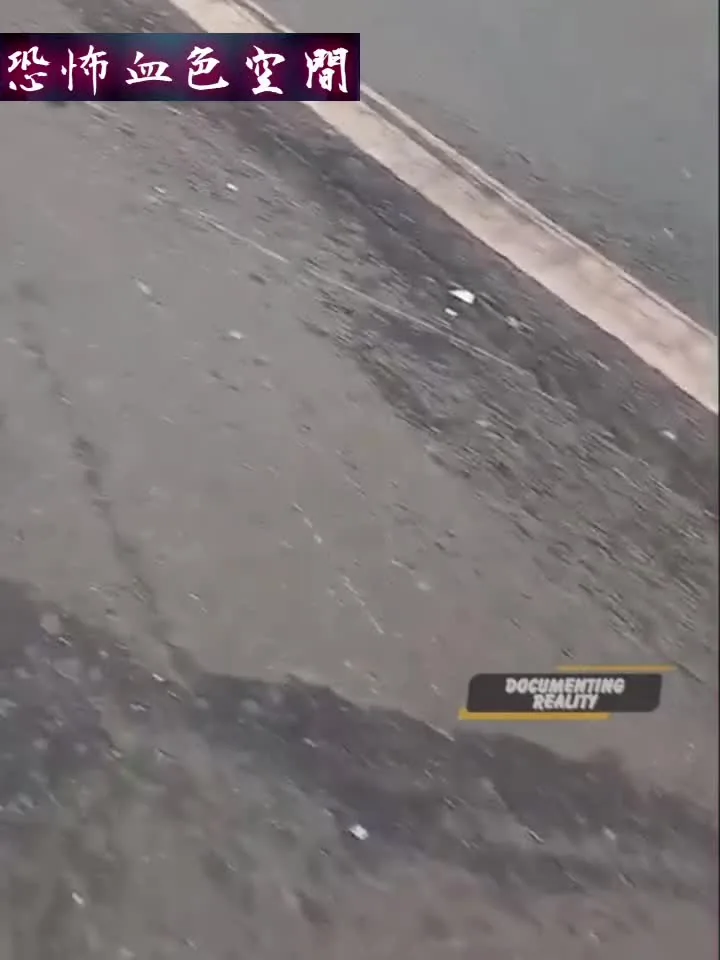 Preview for 1000002229