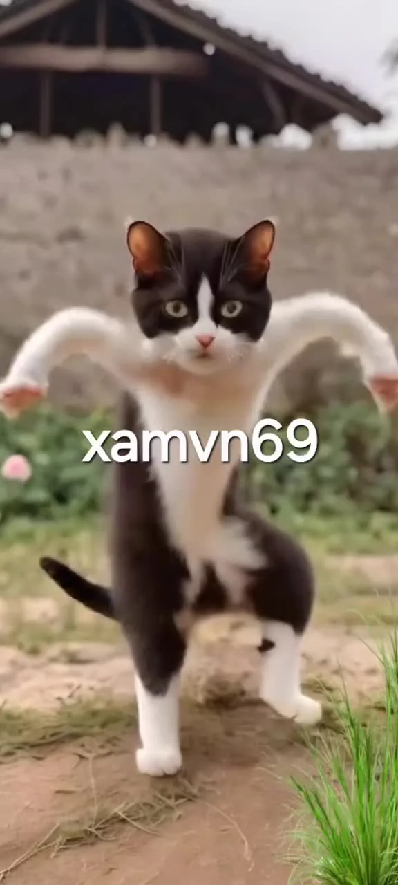 Preview for VD IMG 14092022