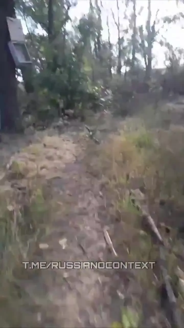 Preview for TOGA △ on X '🔞 The Russian filmed the losses that the Russians suffered in attacks on Ukrainian posi