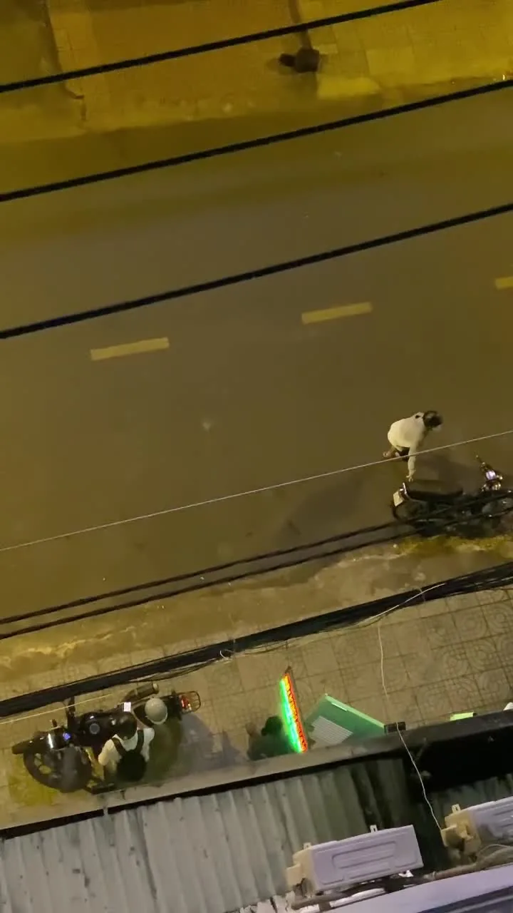 Preview for VIDEO 43452683402