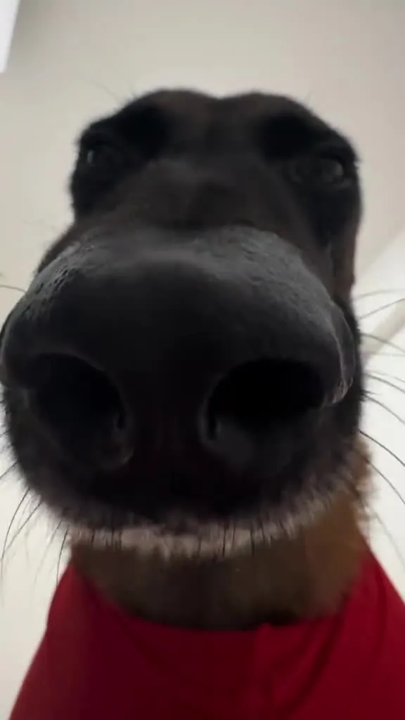 Preview for Video 1170647