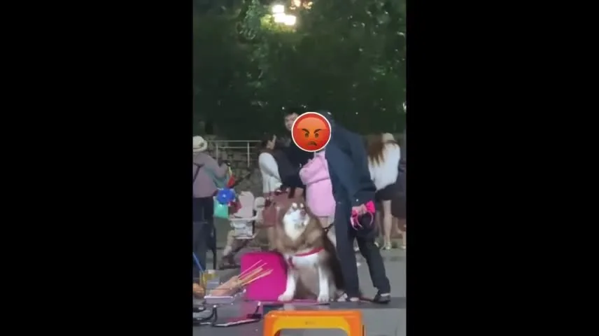 Preview for IMG 0733