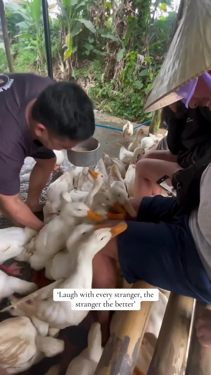 Preview for Video 1264732