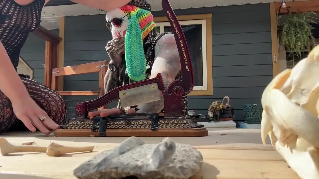 Preview for 2856397956342636448