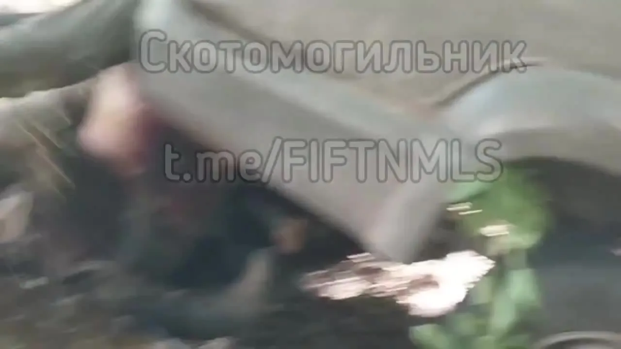 Preview for 1000072593