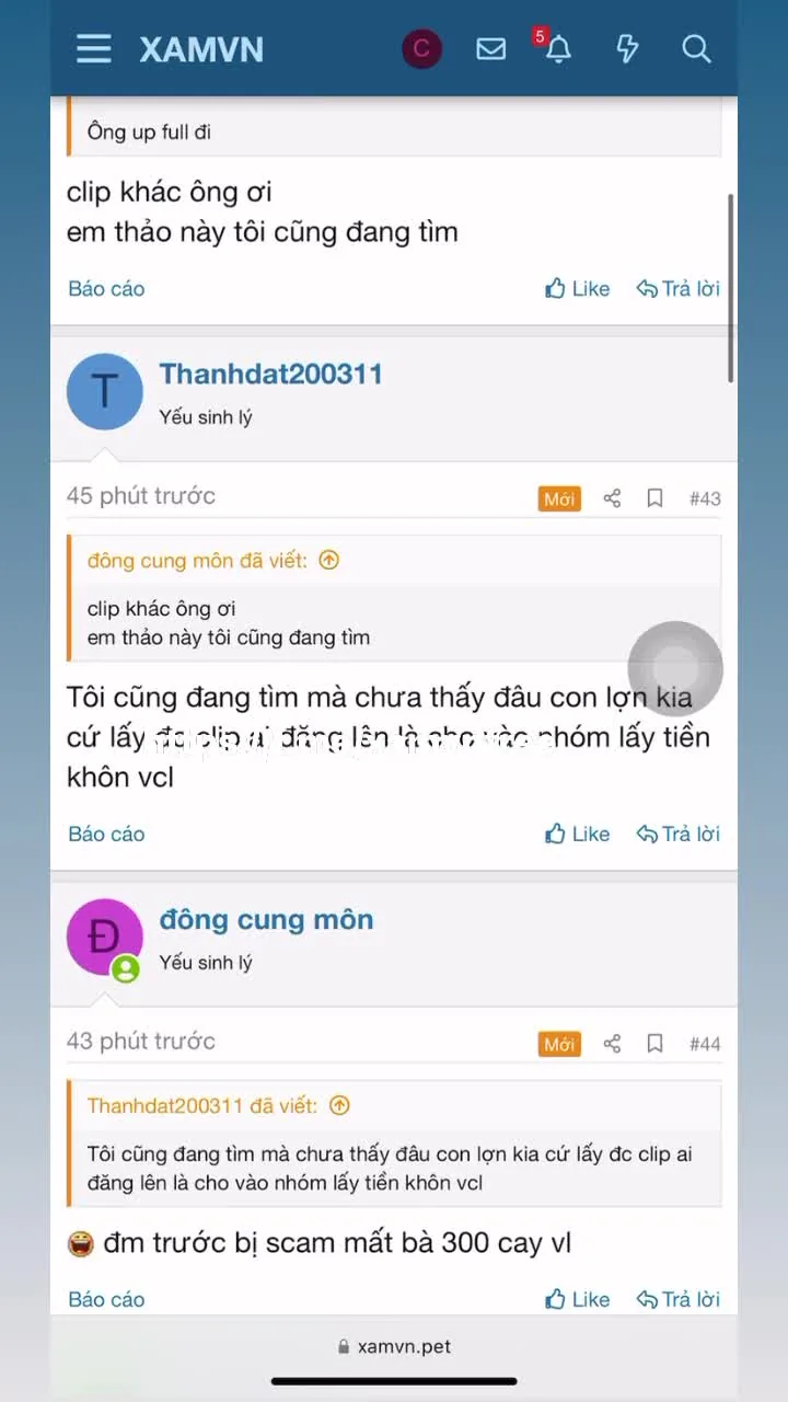 Preview for Video 1212964