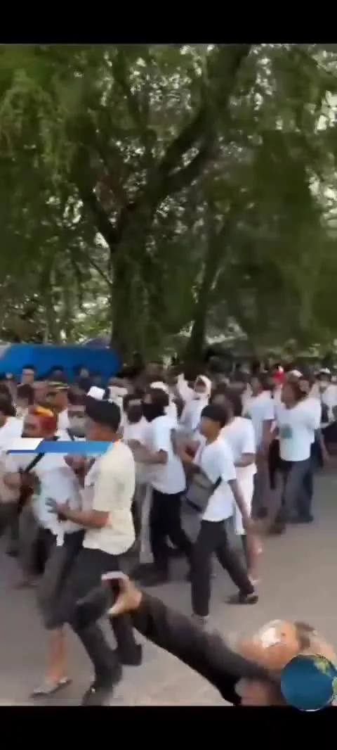 Preview for twitter monkey 14092024 012244 722595