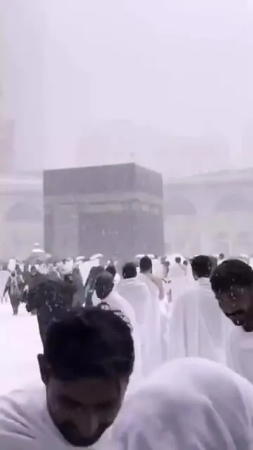 Preview for VID 20241208 202216 626