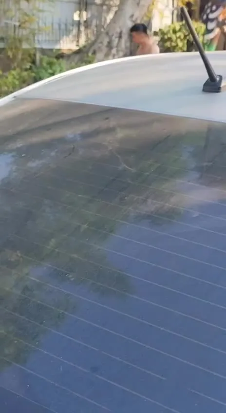 Preview for Thái Phù Sóc Sơn Hà Nội hôm 20 11 Một thanh niên trần nh ư nhộ ng (1)