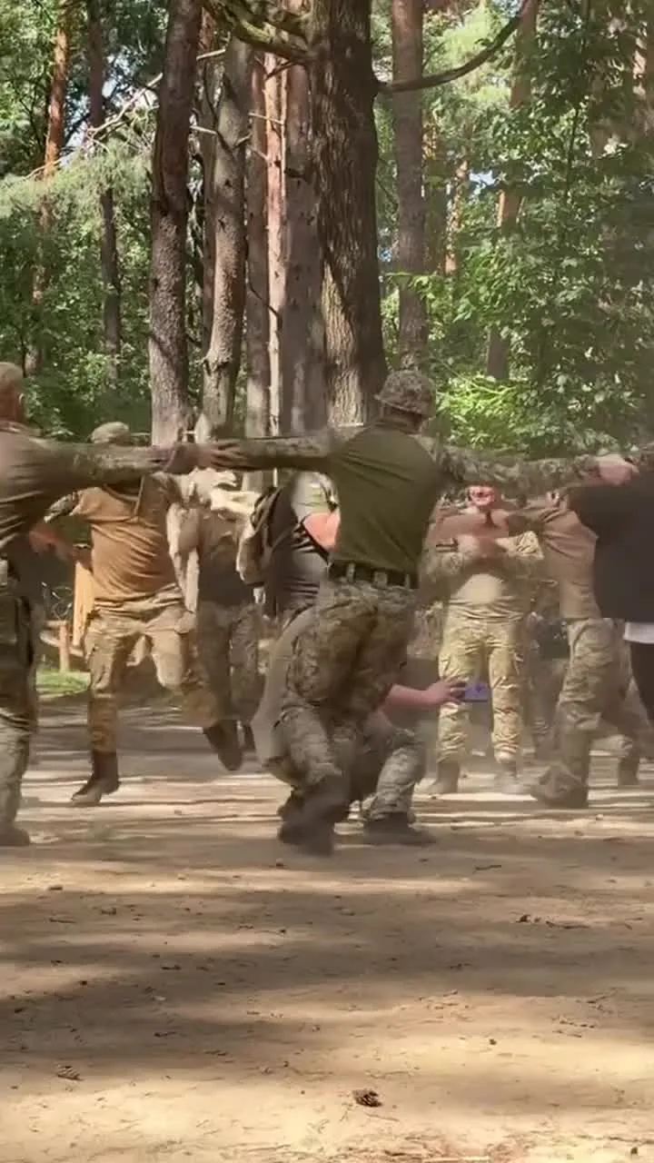 Preview for Video tiktok 68115615