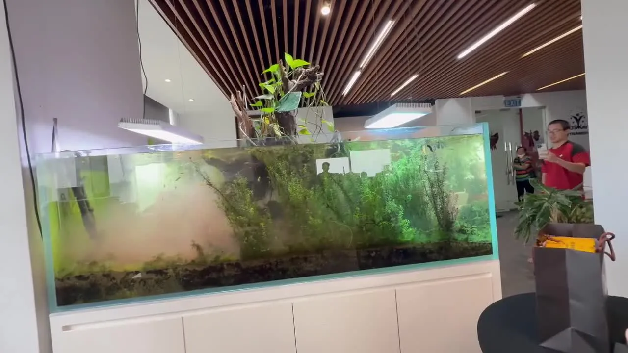 Preview for IMG 6421