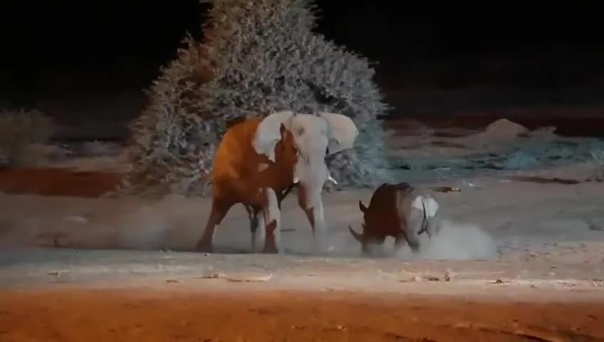 Preview for Bình luận