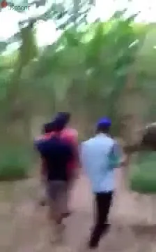 Preview for 571950487